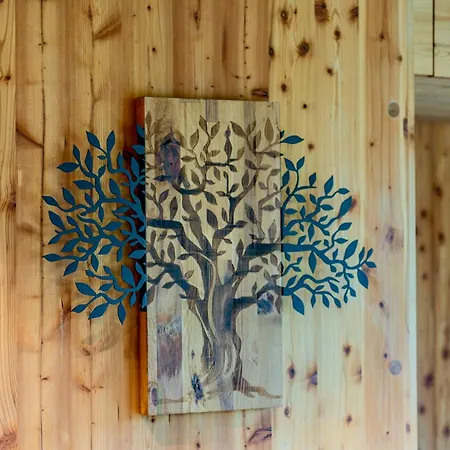 Treetop House Near Mount Brocken * 伊尔森堡
