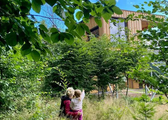 Treetop House Near Mount Brocken * 伊尔森堡
