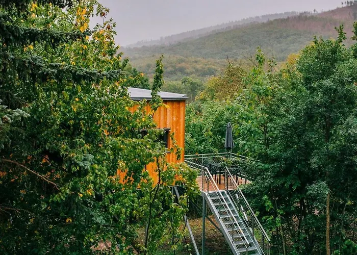 Treetop House Near Mount Brocken 伊尔森堡