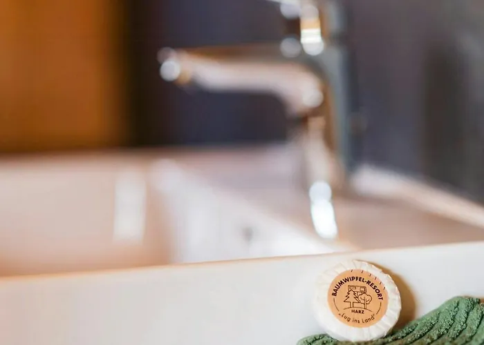 度假居 Treetop House Near Mount Brocken 伊尔森堡