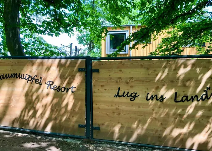Treetop House Near Mount Brocken