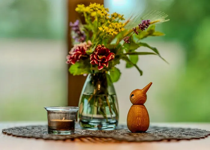 度假居 Treetop House Near Mount Brocken 伊尔森堡