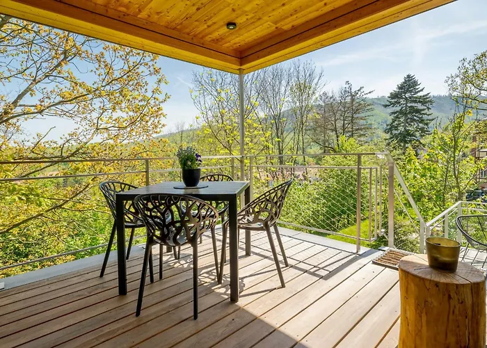 Treetop House Near Mount Brocken