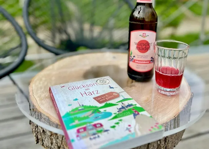 度假居 Treetop House Near Mount Brocken *